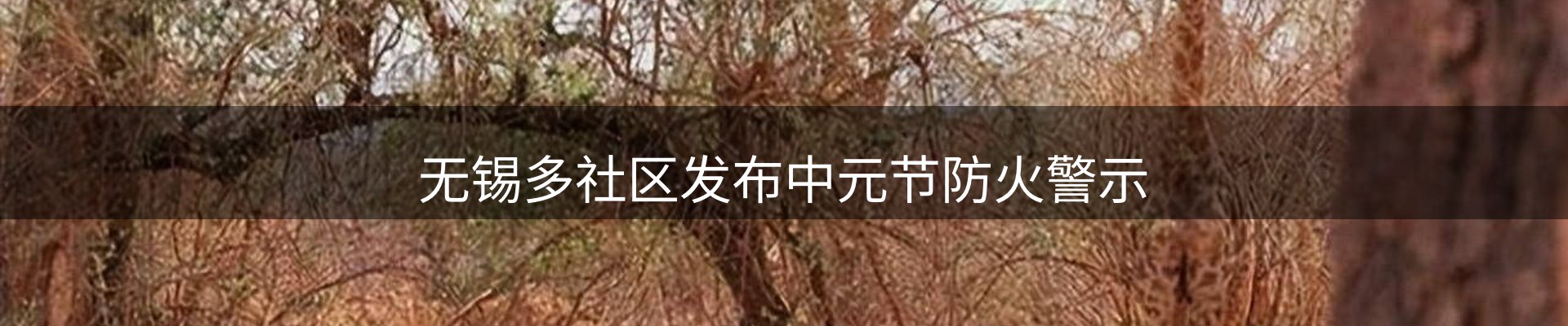 平台快讯