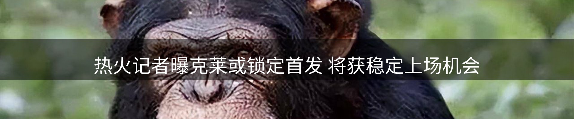平台快讯